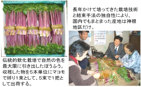 週刊新藤 第47号の掲載写真・資料 8