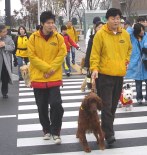 週刊新藤 第37号の掲載写真・資料 6