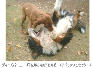 週刊新藤 第18号の掲載写真・資料 3