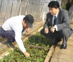 週刊新藤 第47号の掲載写真・資料 1