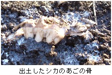 週刊新藤 第91号の掲載写真・資料 4