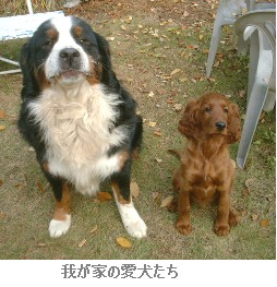 週刊新藤 第18号の掲載写真・資料 2