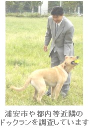 週刊新藤 第34号の掲載写真・資料 3