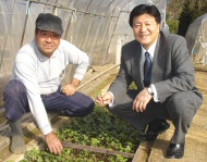 週刊新藤 第47号の掲載写真・資料 7