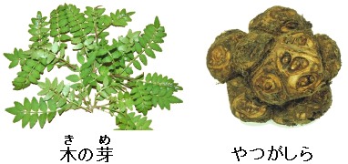 週刊新藤 第47号の掲載写真・資料 6