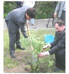 週刊新藤 第45号の掲載写真・資料 5