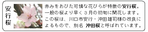 週刊新藤 第50号の掲載写真・資料 5