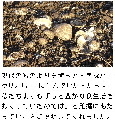 週刊新藤 第91号の掲載写真・資料 3