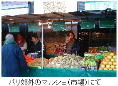 週刊新藤 第102号の掲載写真・資料 4
