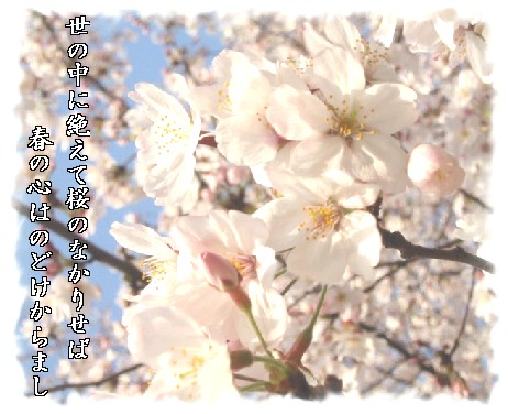 週刊新藤 第50号の掲載写真・資料 1
