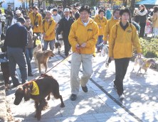 週刊新藤 第37号の掲載写真・資料 5