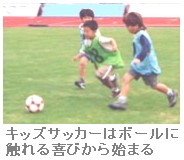 週刊新藤 第33号の掲載写真・資料 3